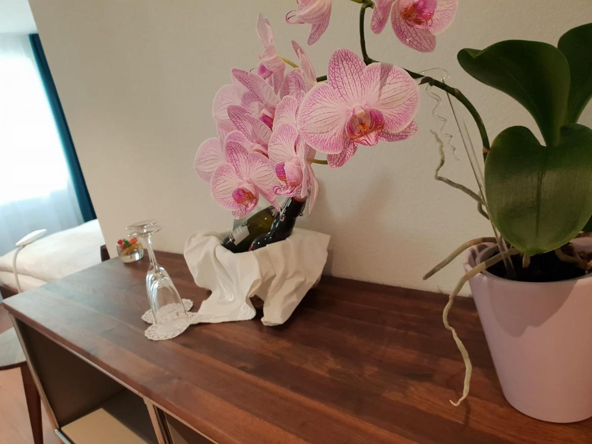 Ringmauer Hotel Murten Ngoại thất bức ảnh