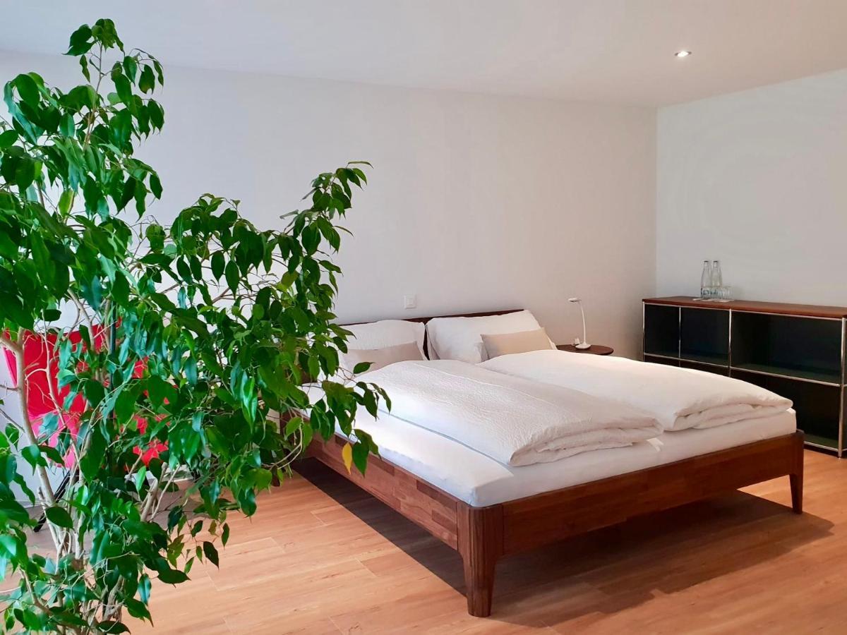 Ringmauer Hotel Murten Ngoại thất bức ảnh