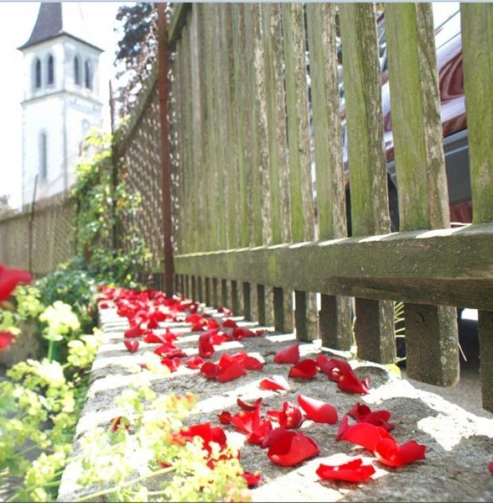 Ringmauer Hotel Murten Ngoại thất bức ảnh